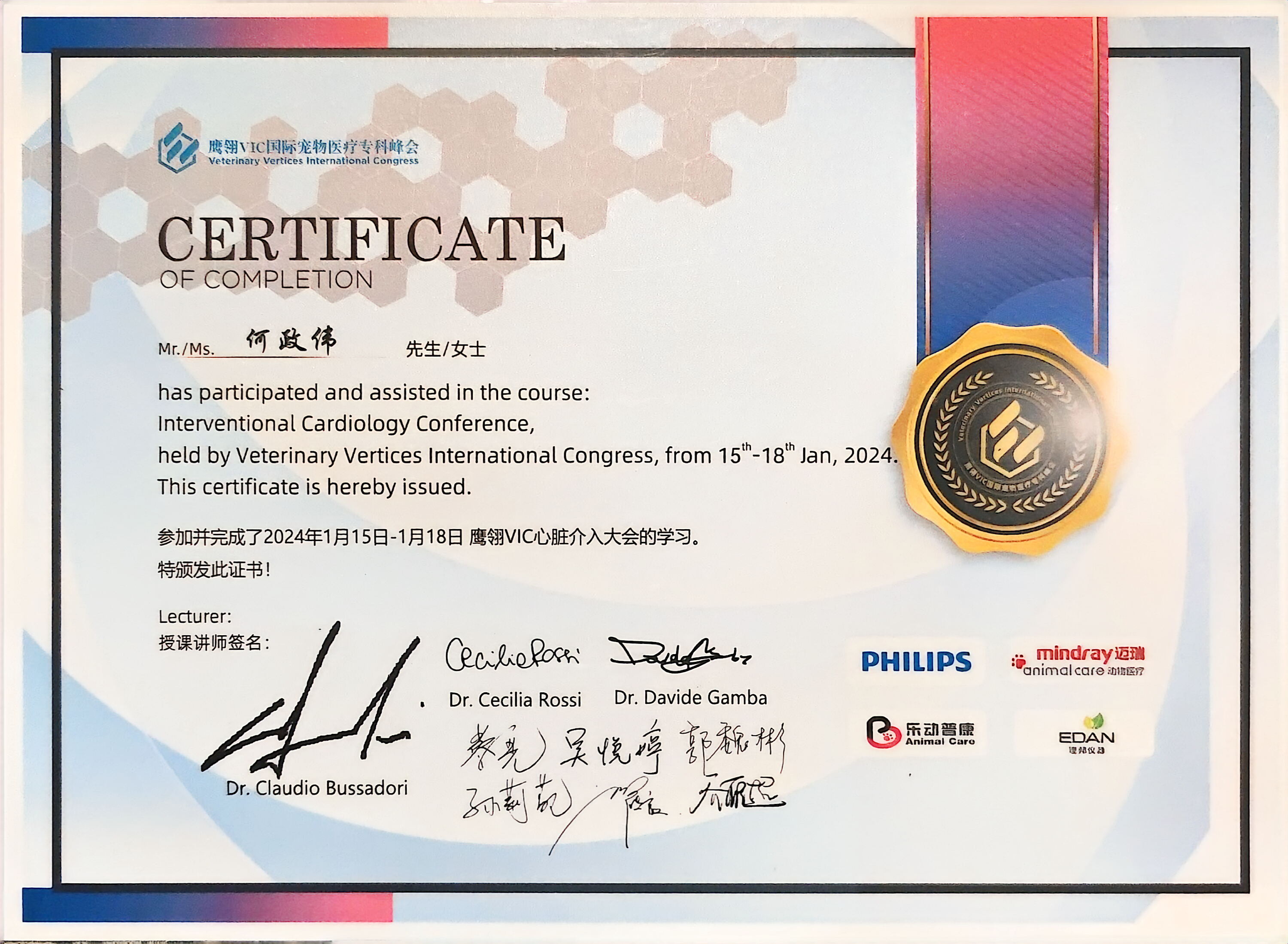 VIC心脏介入大会